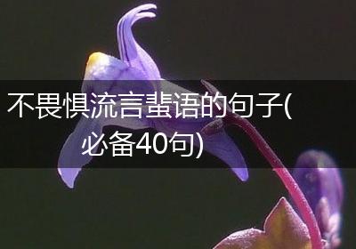 不畏惧流言蜚语的句子(必备40句)