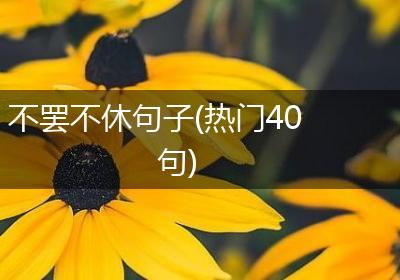 不罢不休句子(热门40句)