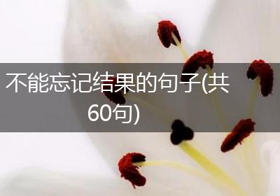 不能忘记结果的句子(共60句)