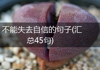 不能失去自信的句子(汇总45句)