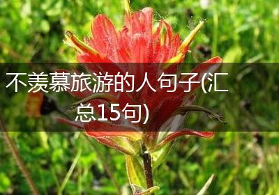 不羡慕旅游的人句子(汇总15句)