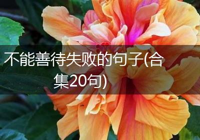 不能善待失败的句子(合集20句)