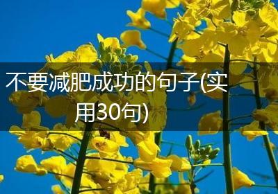 不要减肥成功的句子(实用30句)