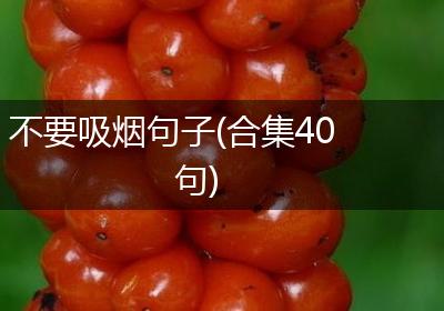 不要吸烟句子(合集40句)