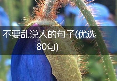 不要乱说人的句子(优选80句)
