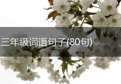 三年级词语句子(80句)