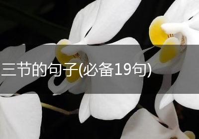 三节的句子(必备19句)