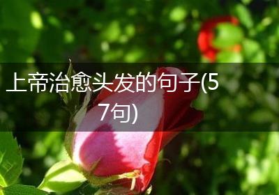 上帝治愈头发的句子(57句)