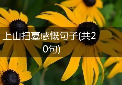 上山扫墓感慨句子(共20句)