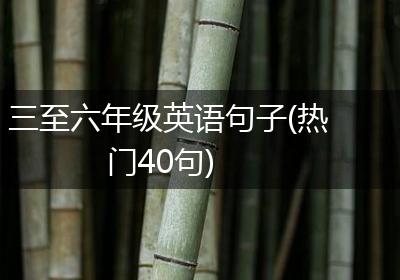 三至六年级英语句子(热门40句)
