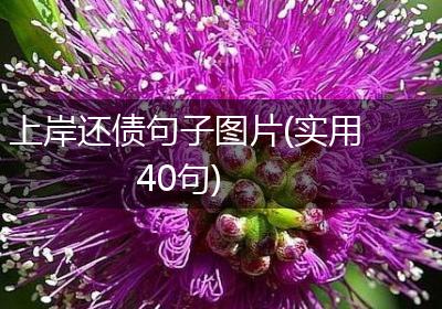 上岸还债句子图片(实用40句)