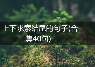 上下求索结尾的句子(合集40句)