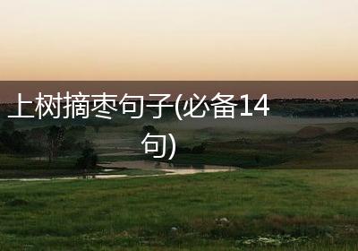 上树摘枣句子(必备14句)