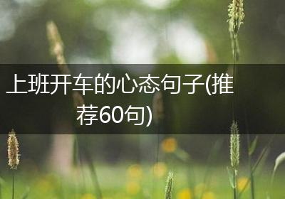 上班开车的心态句子(推荐60句)