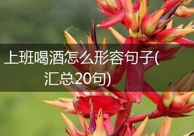 上班喝酒怎么形容句子(汇总20句)