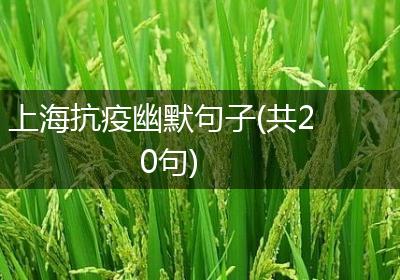上海抗疫幽默句子(共20句)
