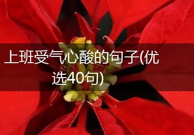 上班受气心酸的句子(优选40句)