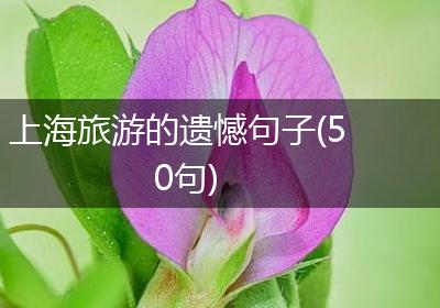 上海旅游的遗憾句子(50句)
