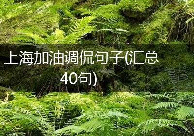 上海加油调侃句子(汇总40句)