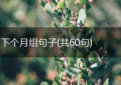 下个月组句子(共60句)