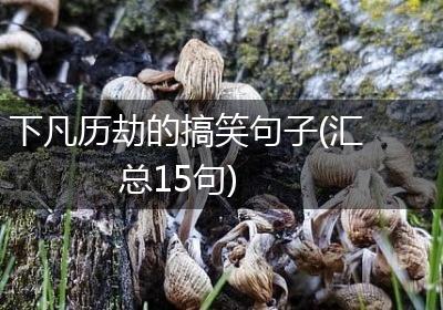 下凡历劫的搞笑句子(汇总15句)