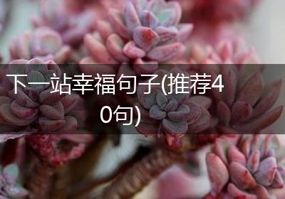 下一站幸福句子(推荐40句)