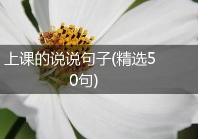 上课的说说句子(精选50句)