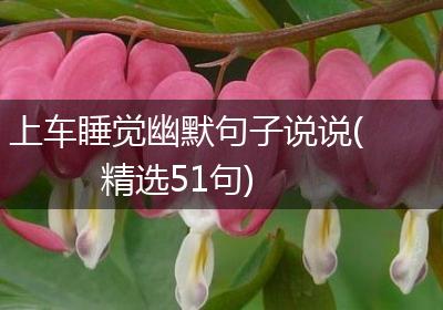 上车睡觉幽默句子说说(精选51句)