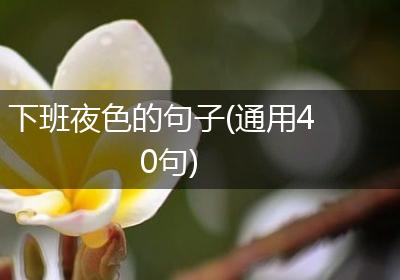 下班夜色的句子(通用40句)
