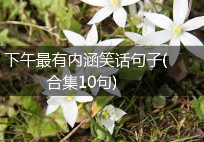 下午最有内涵笑话句子(合集10句)