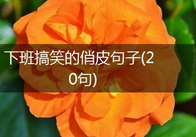 下班搞笑的俏皮句子(20句)
