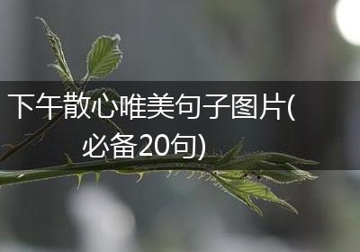 下午散心唯美句子图片(必备20句)