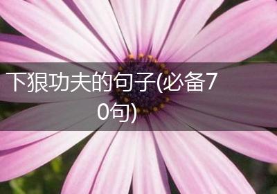 下狠功夫的句子(必备70句)