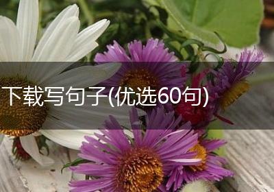 下载写句子(优选60句)
