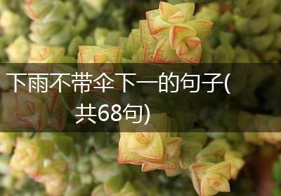 下雨不带伞下一的句子(共68句)
