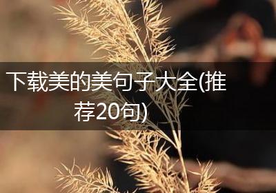 下载美的美句子大全(推荐20句)