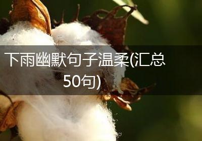 下雨幽默句子温柔(汇总50句)
