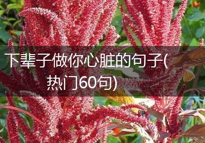 下辈子做你心脏的句子(热门60句)