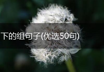 下的组句子(优选50句)