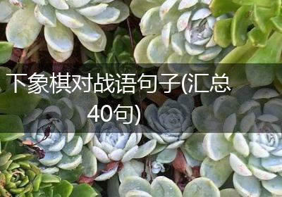 下象棋对战语句子(汇总40句)