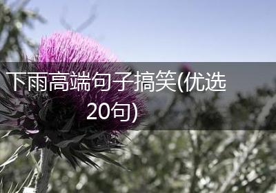 下雨高端句子搞笑(优选20句)