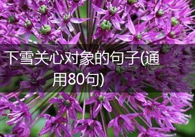 下雪关心对象的句子(通用80句)