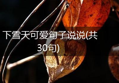 下雪天可爱句子说说(共30句)