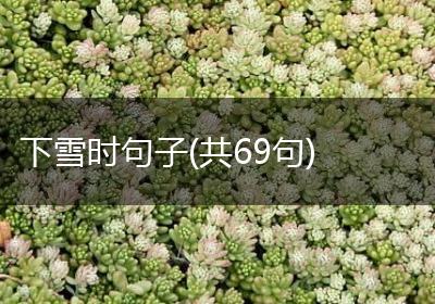 下雪时句子(共69句)