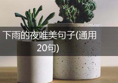 下雨的夜唯美句子(通用20句)