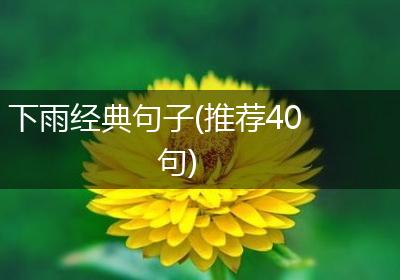 下雨经典句子(推荐40句)