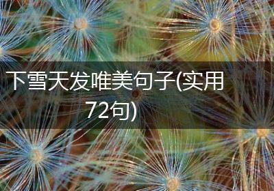 下雪天发唯美句子(实用72句)