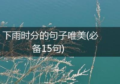 下雨时分的句子唯美(必备15句)