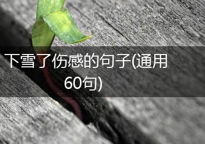 下雪了伤感的句子(通用60句)