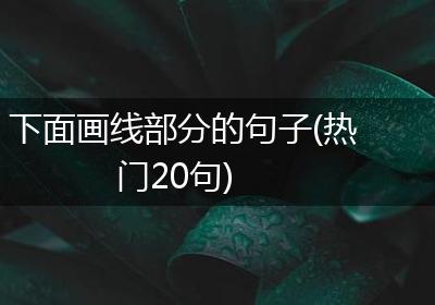 下面画线部分的句子(热门20句)